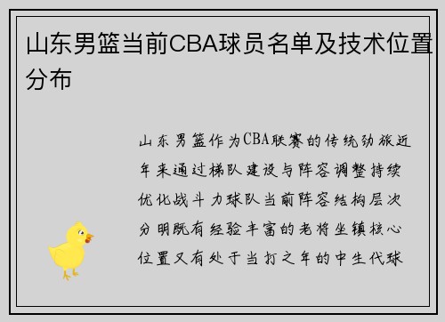 山东男篮当前CBA球员名单及技术位置分布